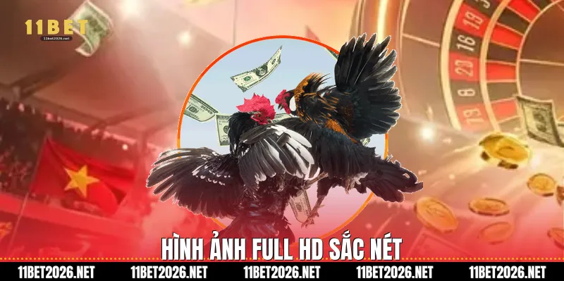 Hình ảnh Full HD sắc nét
