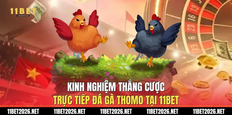 Kinh nghiệm thắng cược trực tiếp đá gà Thomo tại 11Bet